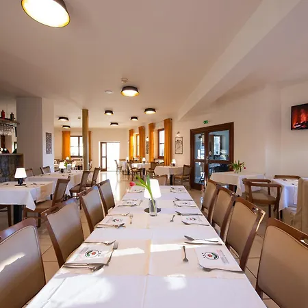 Tulipan Tatranská Lomnica