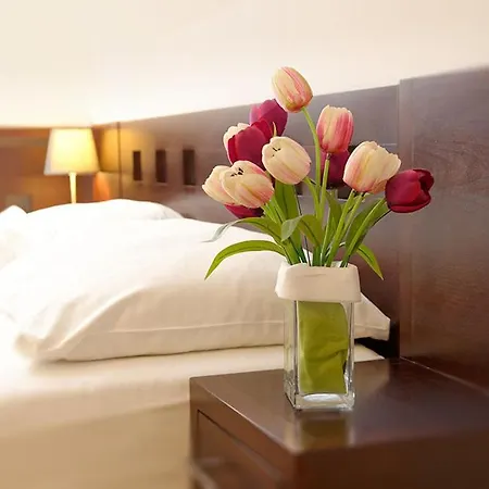 Tulipan 3* Tatranská Lomnica